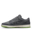 Nike SB Dunk Low Iron Grey