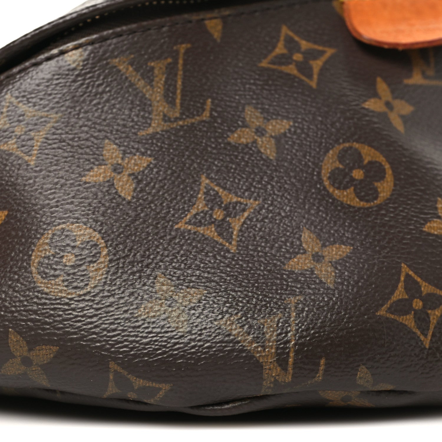 Monogram Bumbag