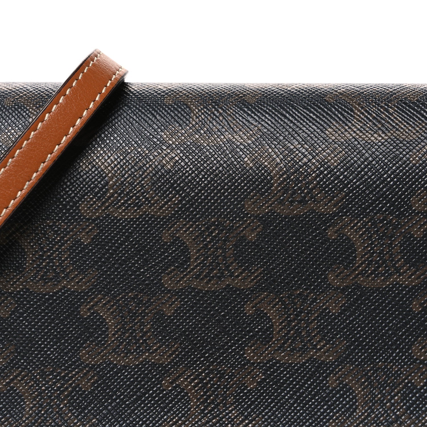 Triomphe Canvas Lambskin Wallet On Strap Tan Tan
