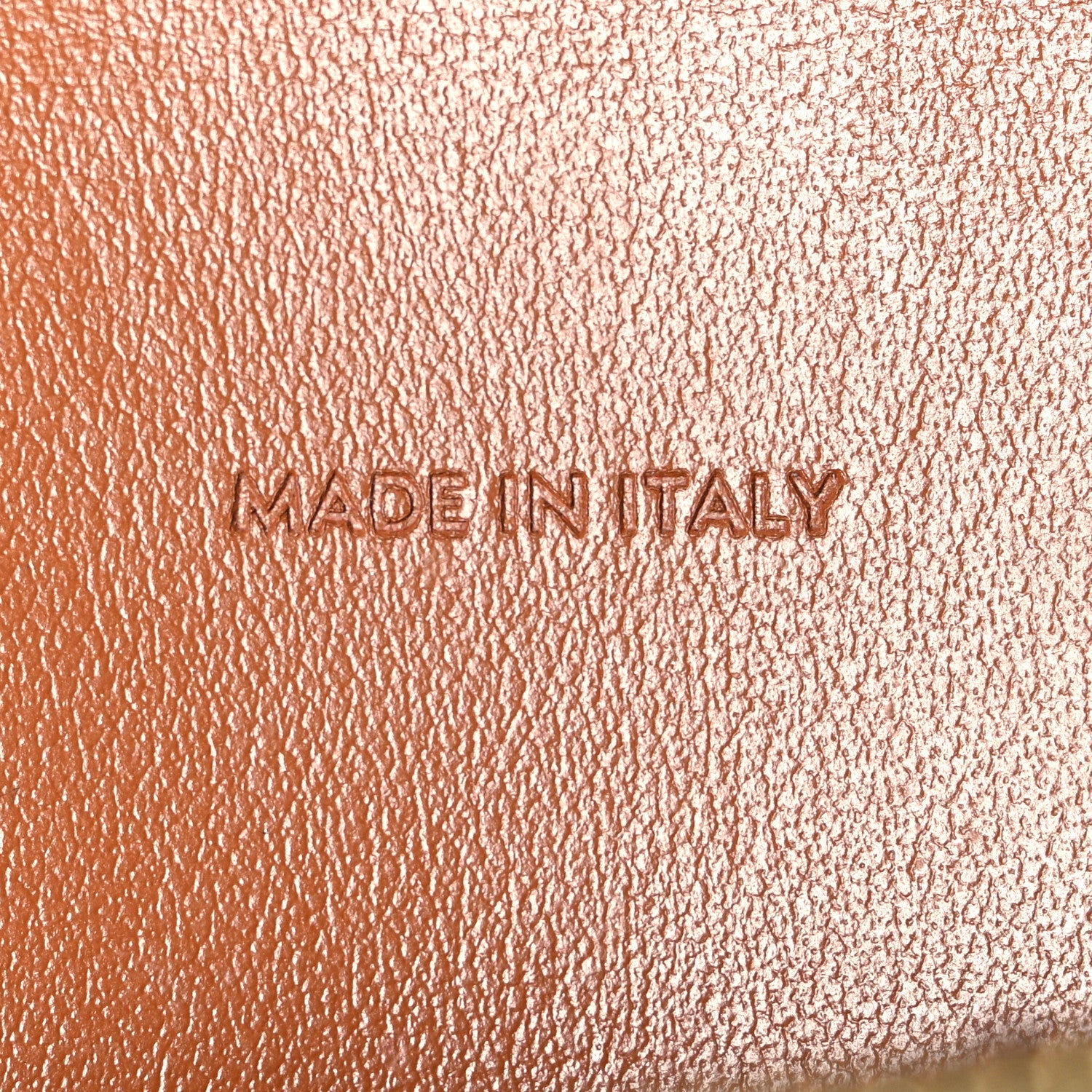Triomphe Canvas Lambskin Wallet On Strap Tan Tan