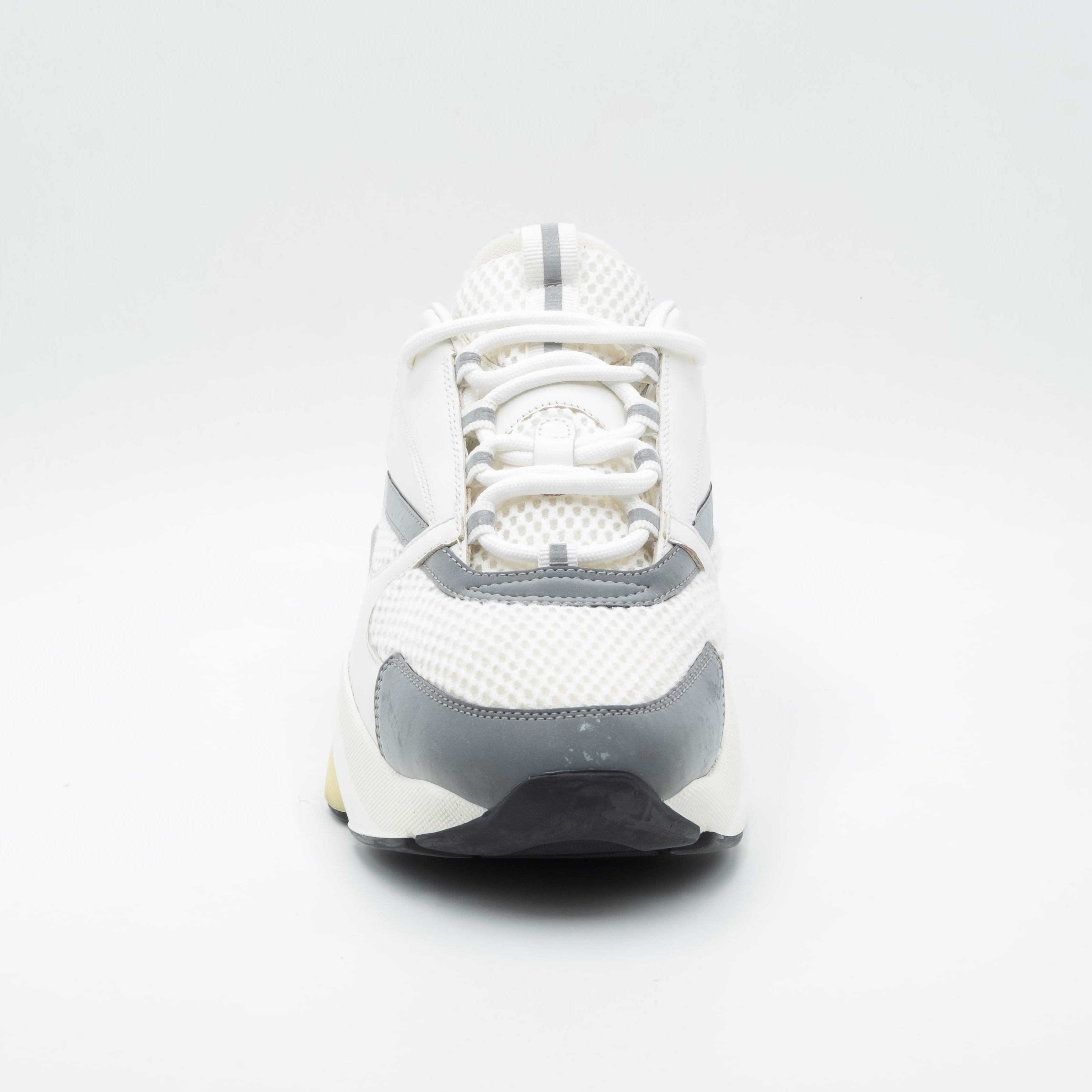 Dior B22 - White Grey