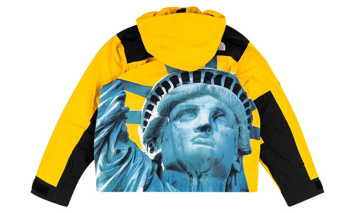 TNF Mountain Jacket "FW19 - Statue Of Liberty" SU8176