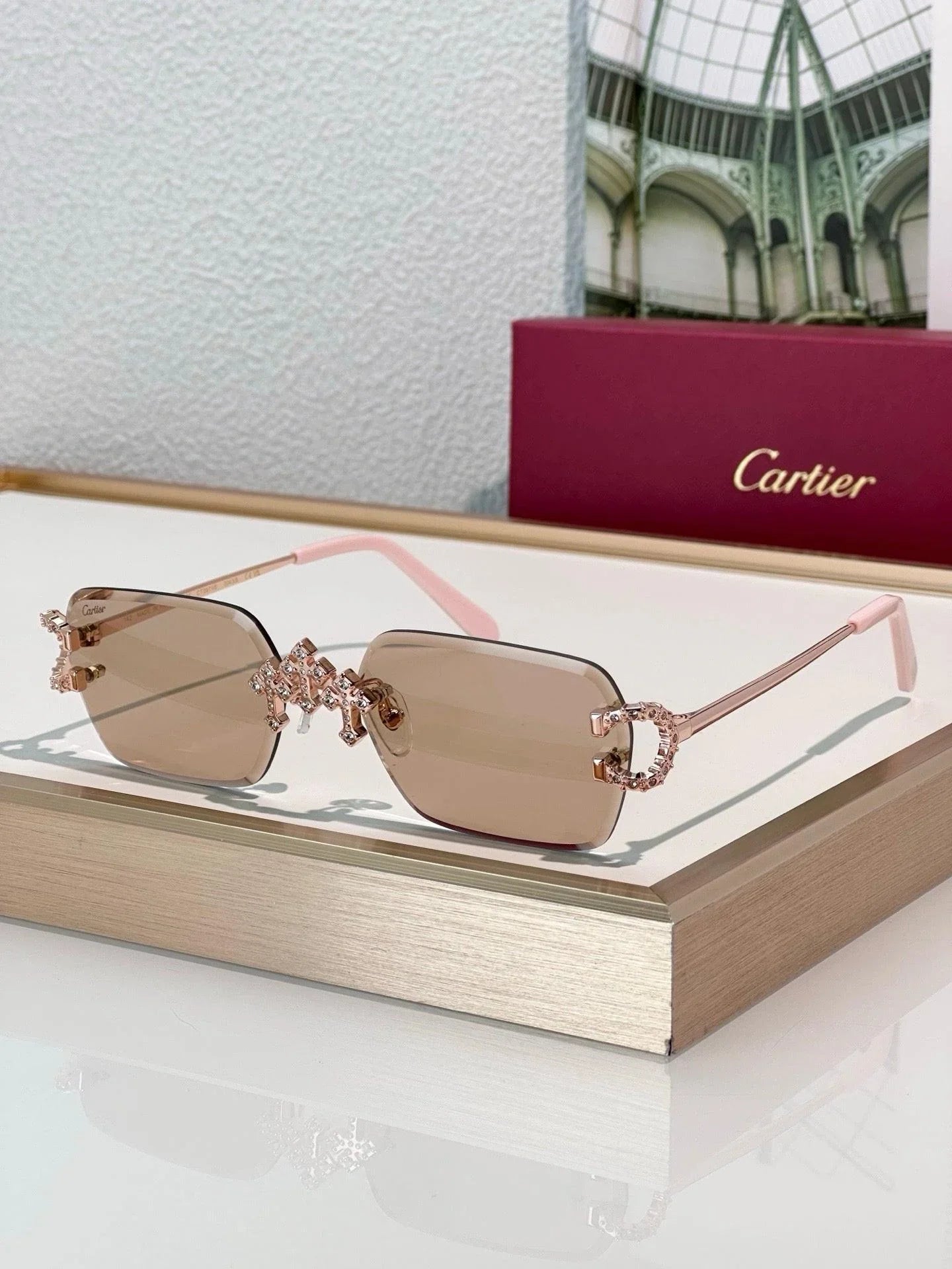 Cartier C-decor PREMIÈRE DE CARTIER CT0679 Diamond Sunglasses 🐆
