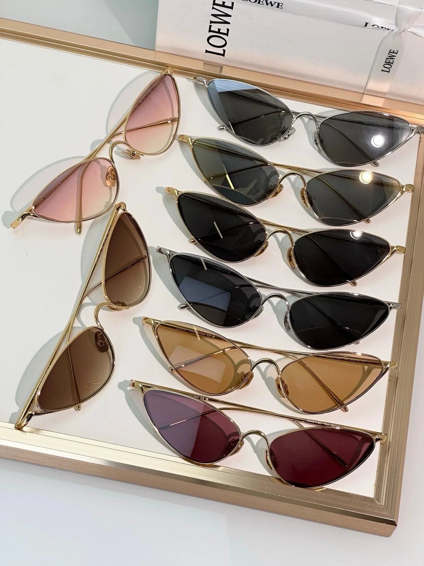 LOEWE Shooting Star Sunglasses G737LIGX02 ✨