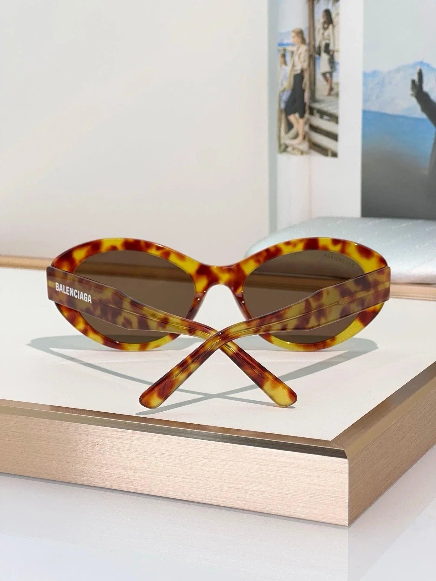 BALENCIAGA BB0446S Sunglassesđź–¤