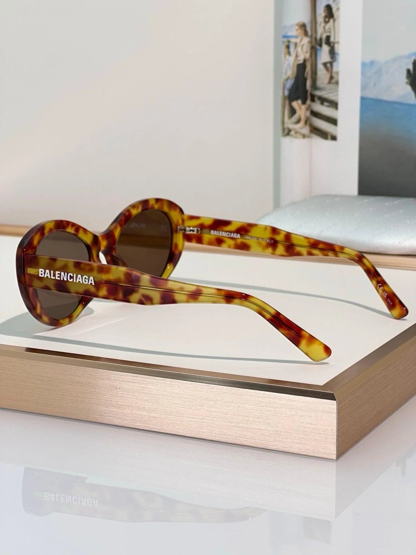 BALENCIAGA BB0446S Sunglassesđź–¤