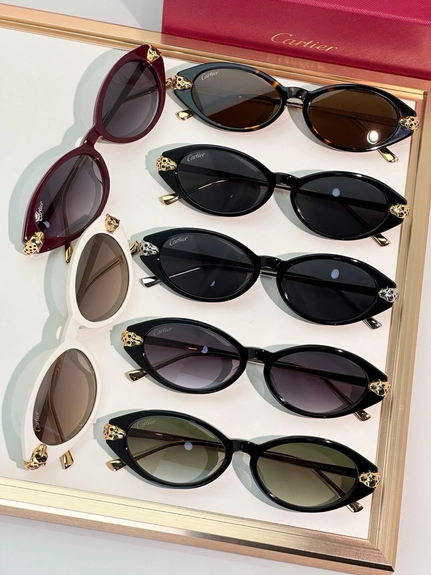 Cartier PREMIÈRE DE CARTIER CT0634S Sunglasses 🐆