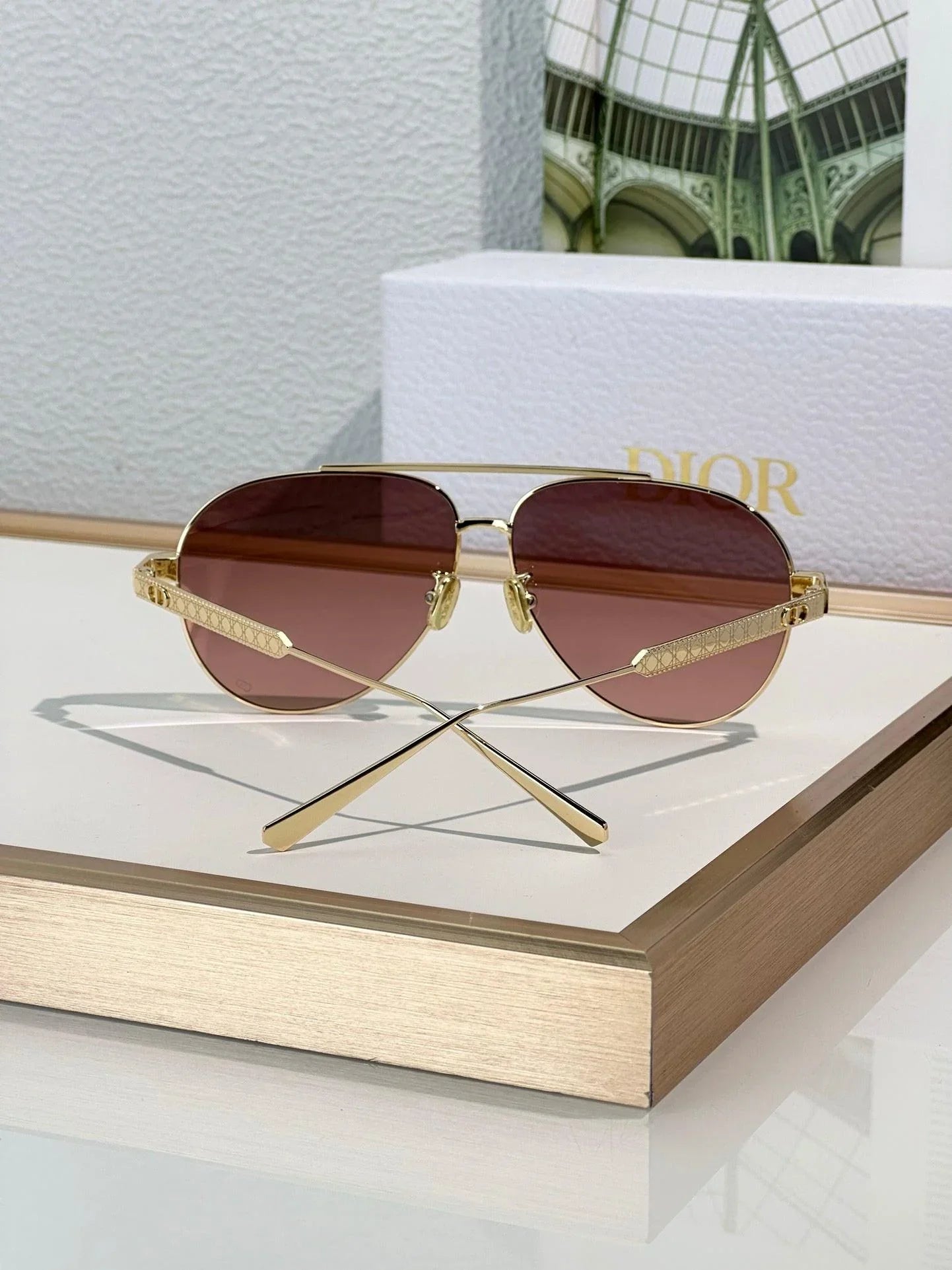 DIOR Dior DiorCannage A1U Sunglasses ✨