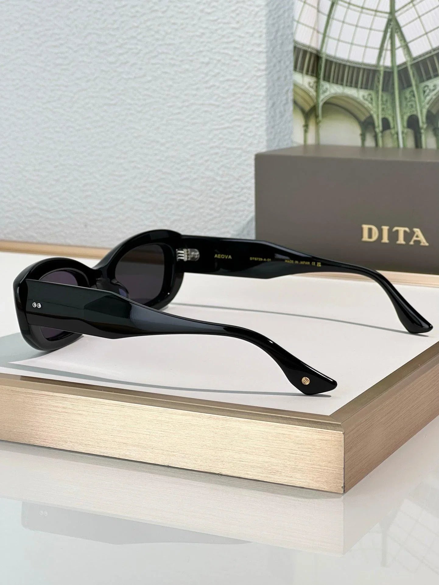 DITA Eyewear AEOVA LIMITED EDITION Sunglasses 🔱