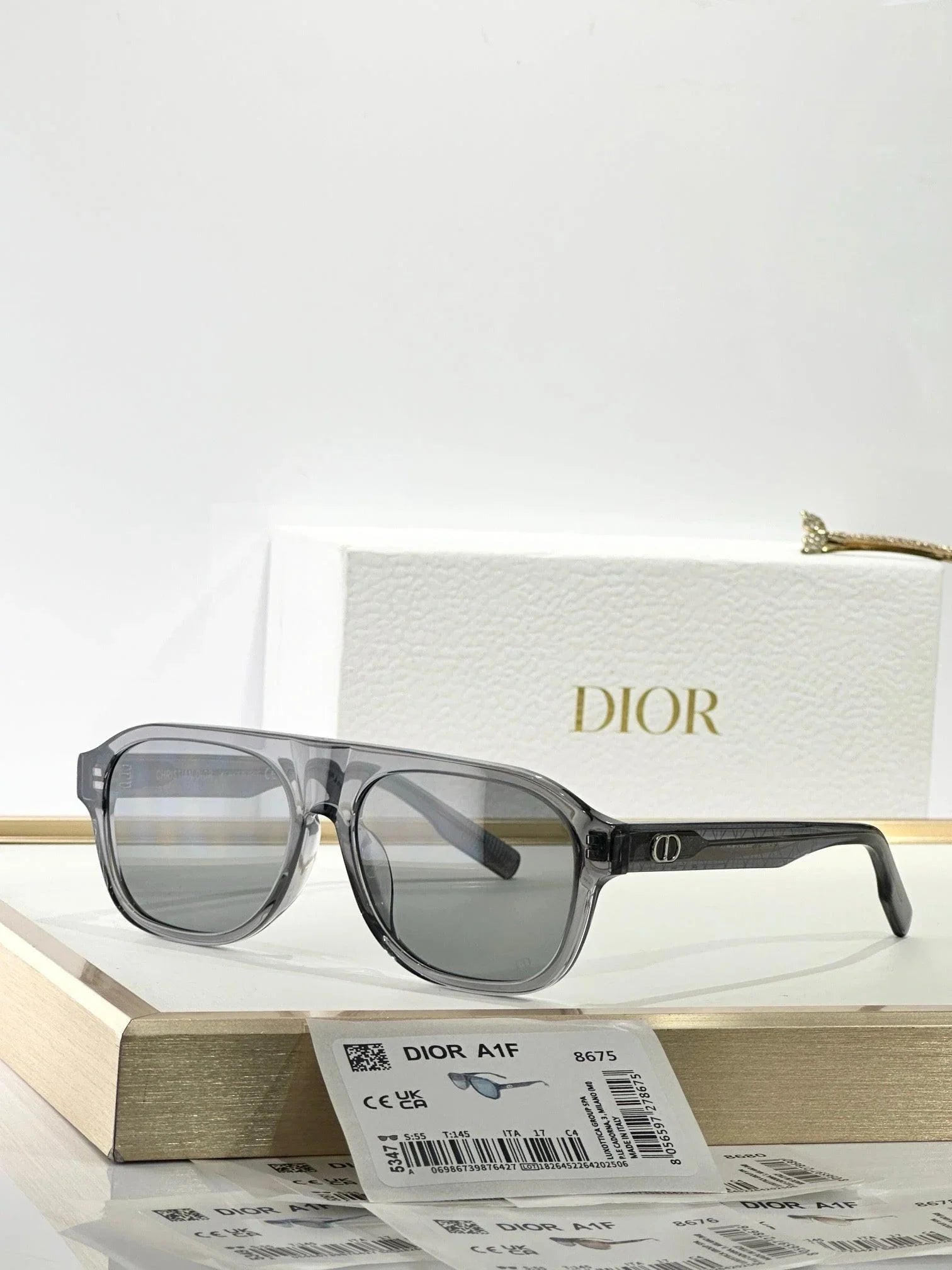 DIOR CD Icon A1F Transparent Beige Pilot Sunglasses ✨
