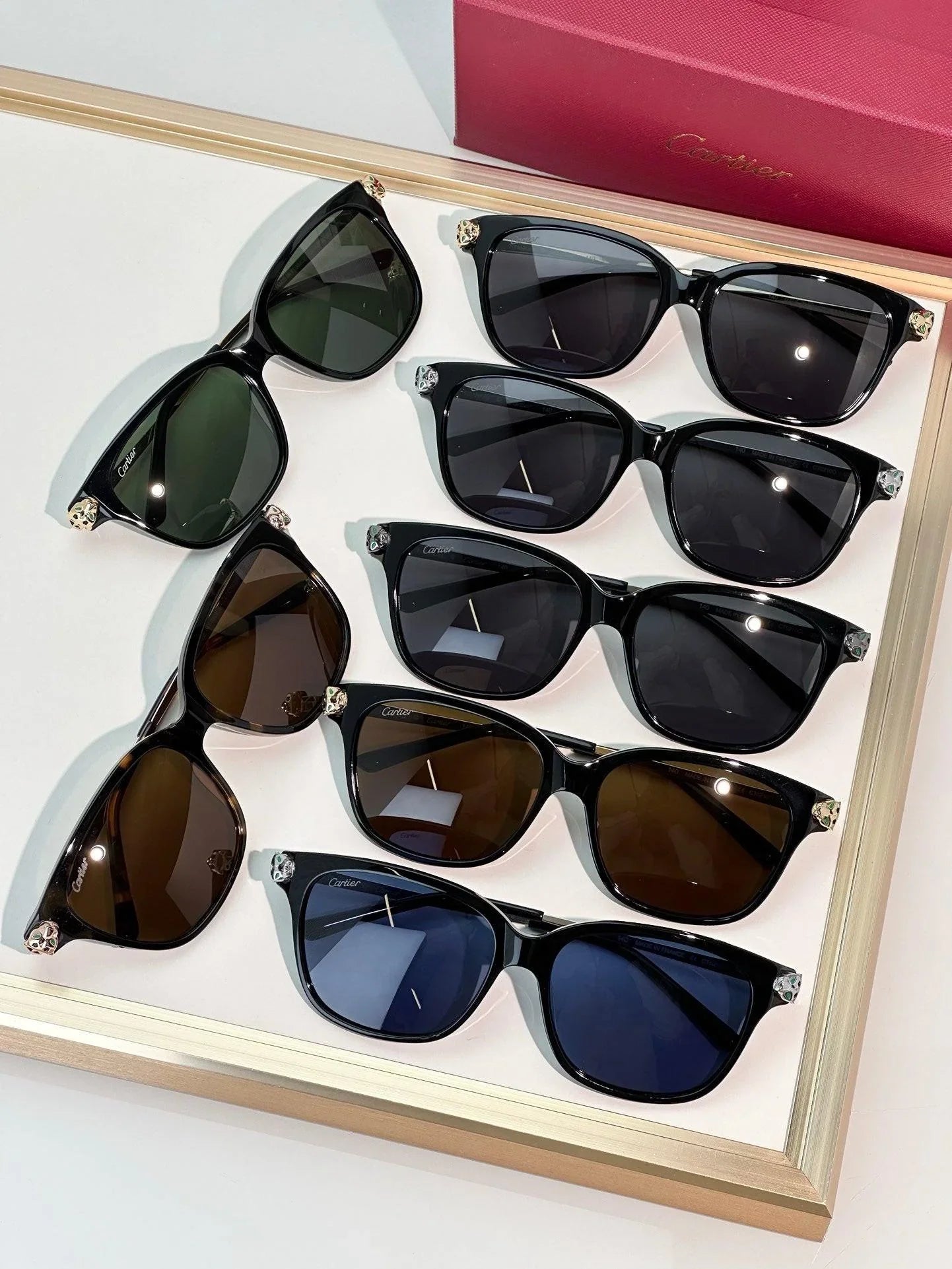 Cartier PREMIÈRE DE CARTIER SUNGLASSES CT0210 🐆
