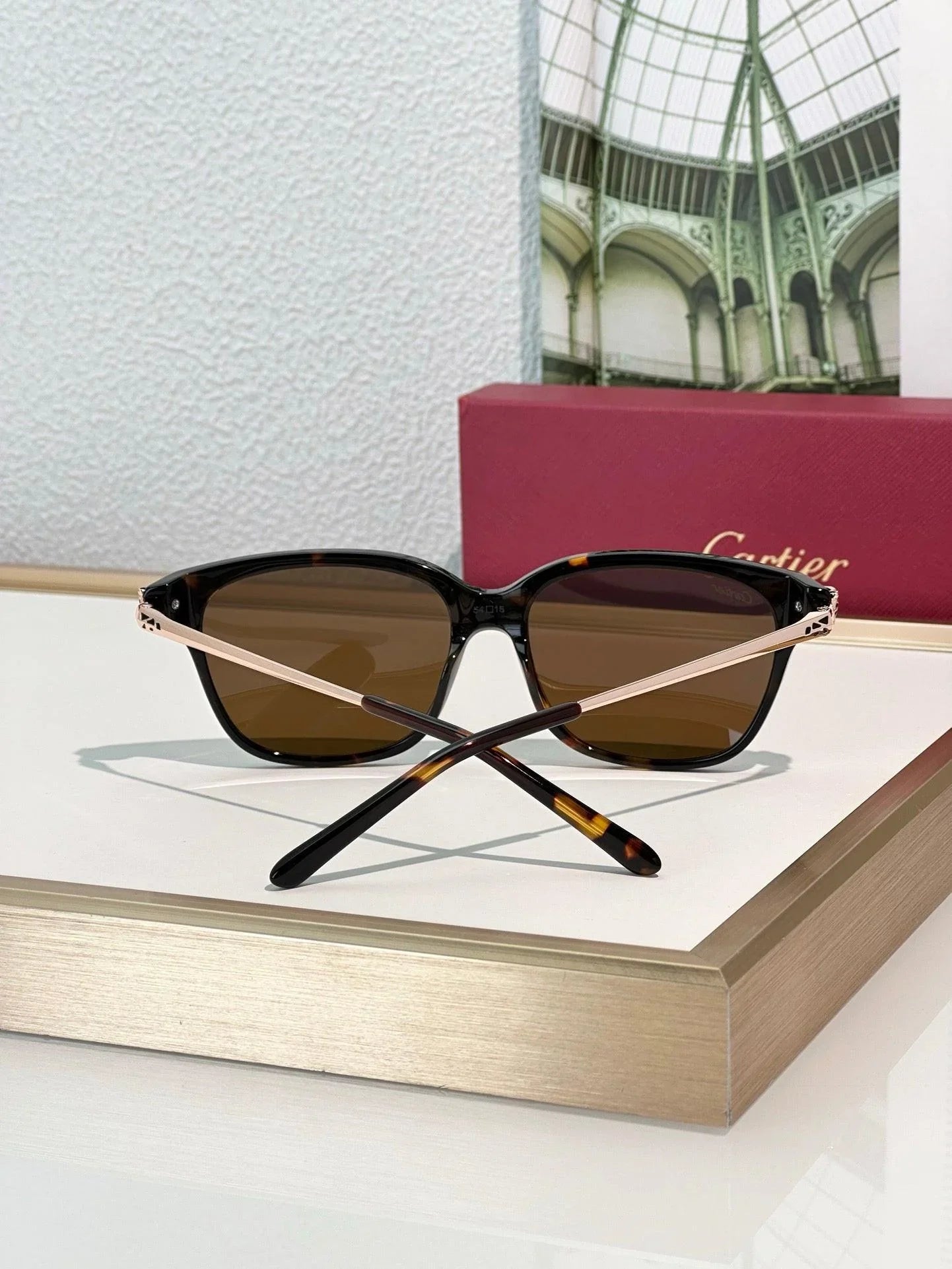 Cartier PREMIÈRE DE CARTIER SUNGLASSES CT0210 🐆