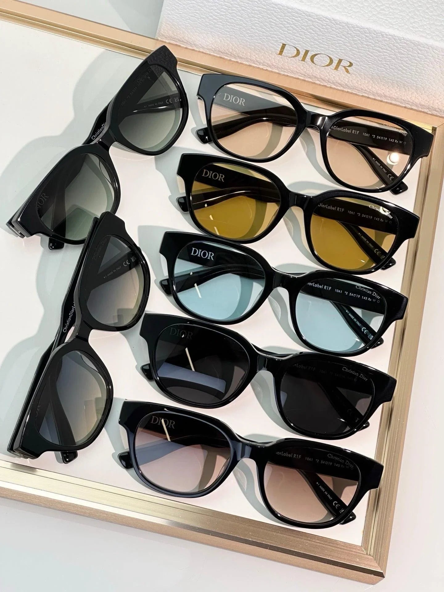 DIOR Christian Dior Label R1F Black and Beige Pantos Sunglasses ✨