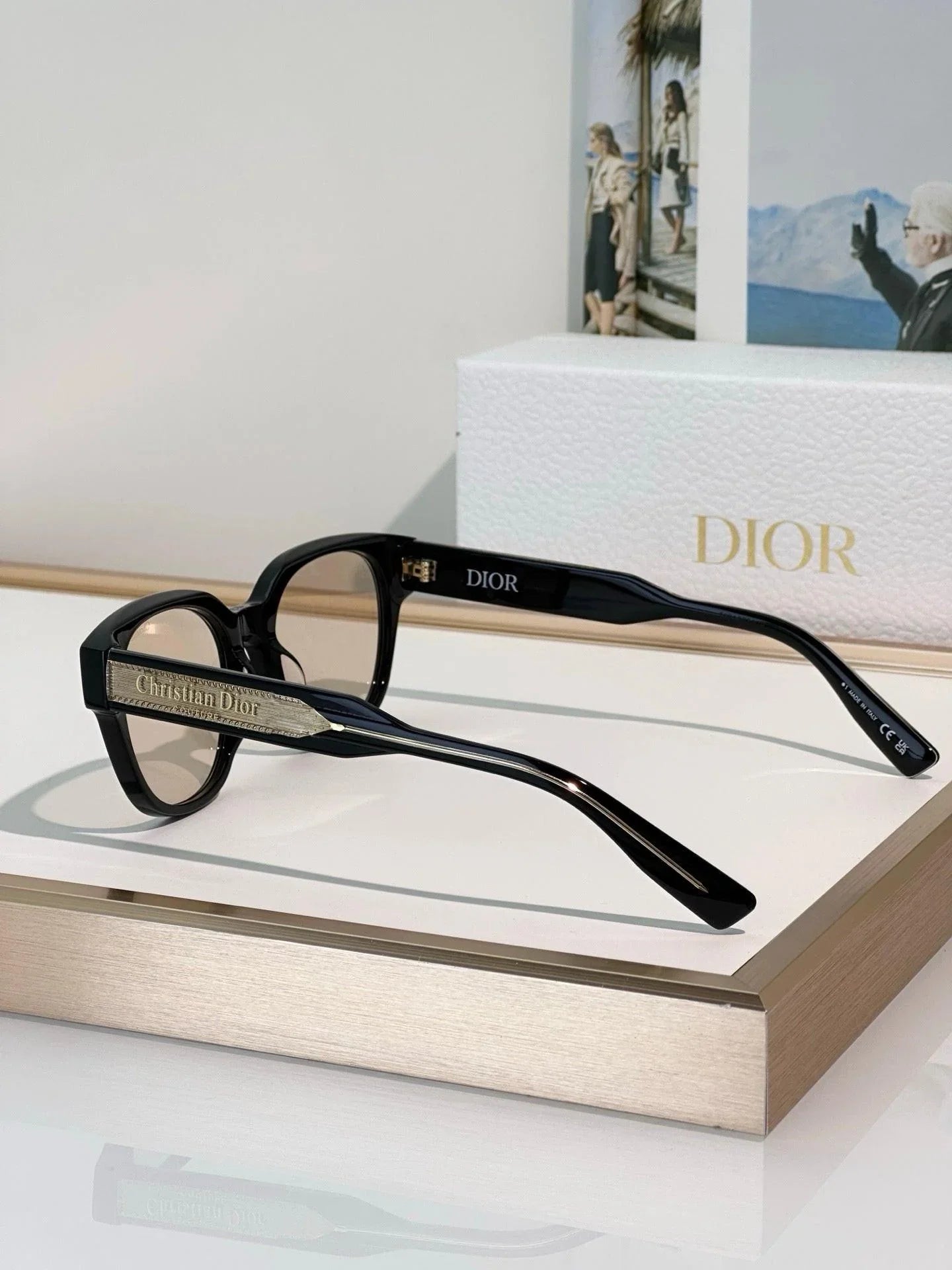 DIOR Christian Dior Label R1F Black and Beige Pantos Sunglasses ✨