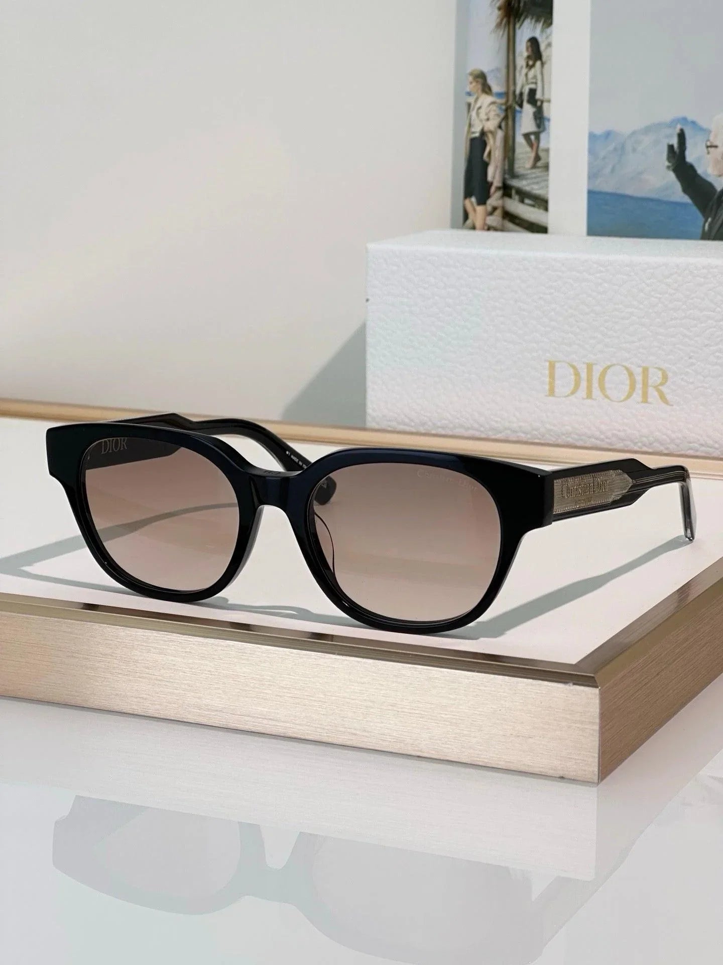DIOR Christian Dior Label R1F Black and Beige Pantos Sunglasses ✨