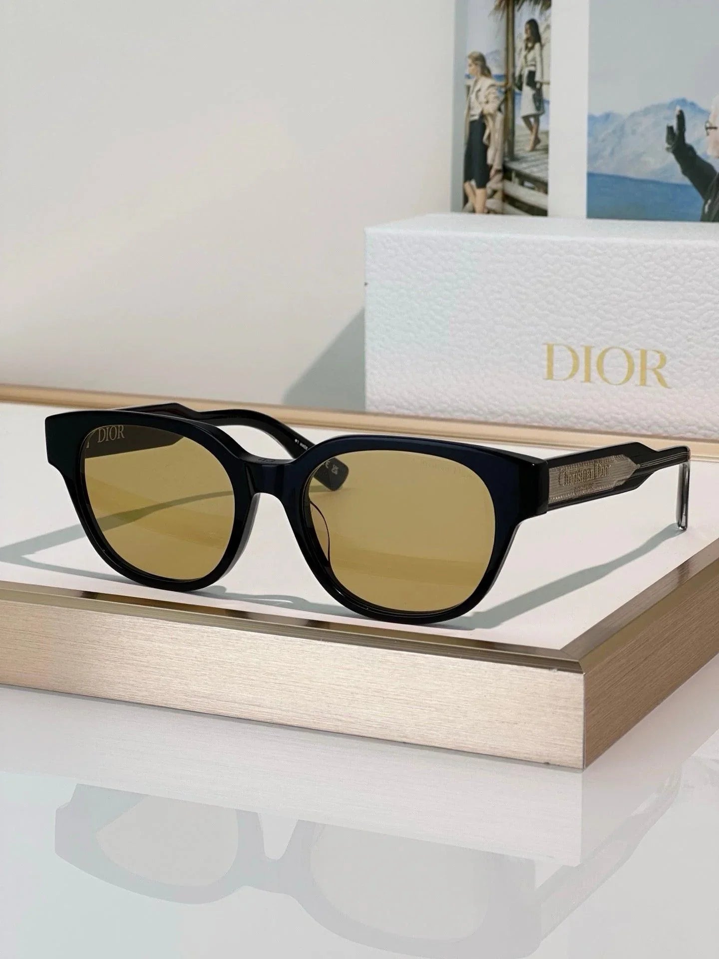 DIOR Christian Dior Label R1F Black and Beige Pantos Sunglasses ✨