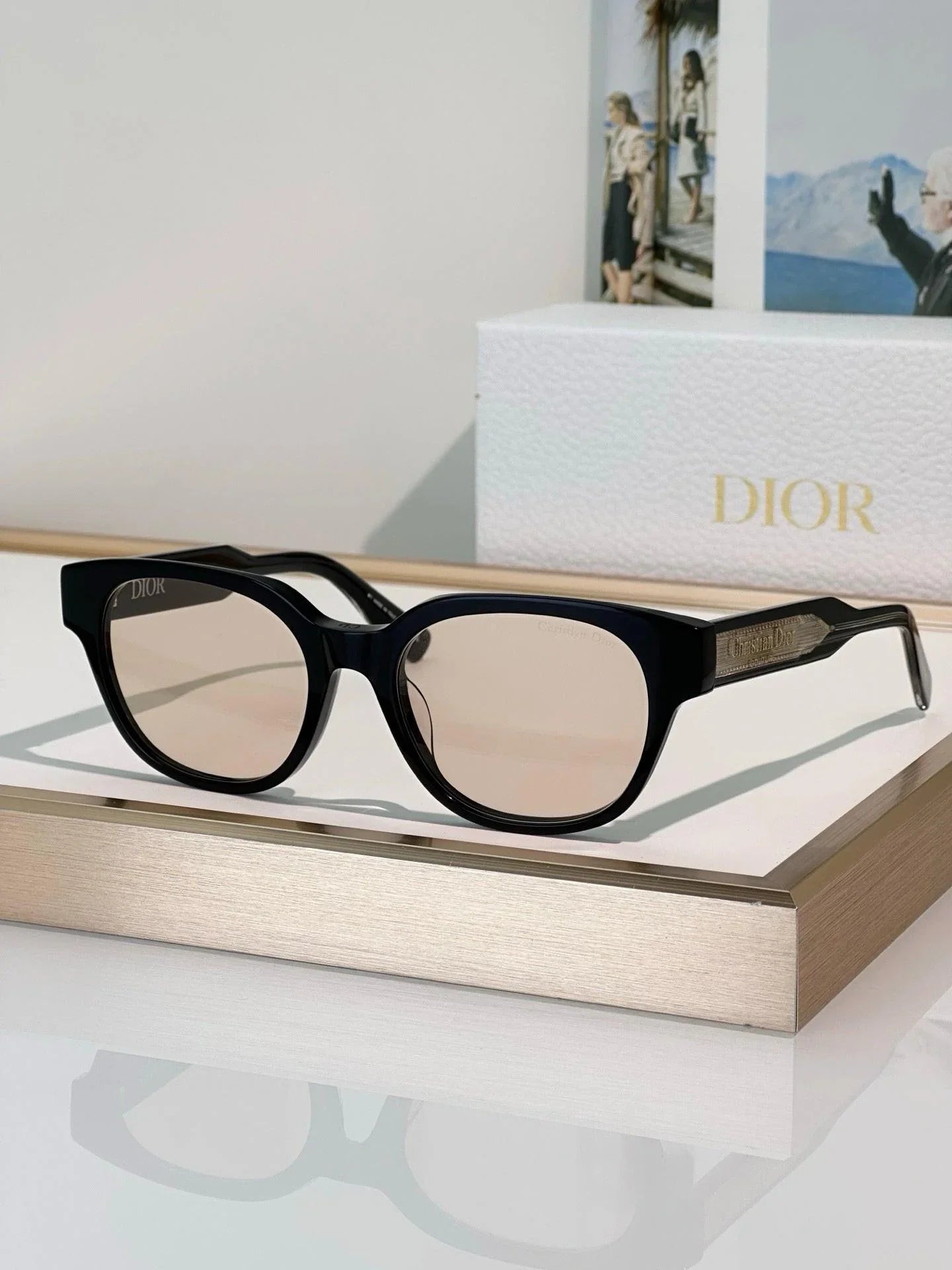 DIOR Christian Dior Label R1F Black and Beige Pantos Sunglasses ✨