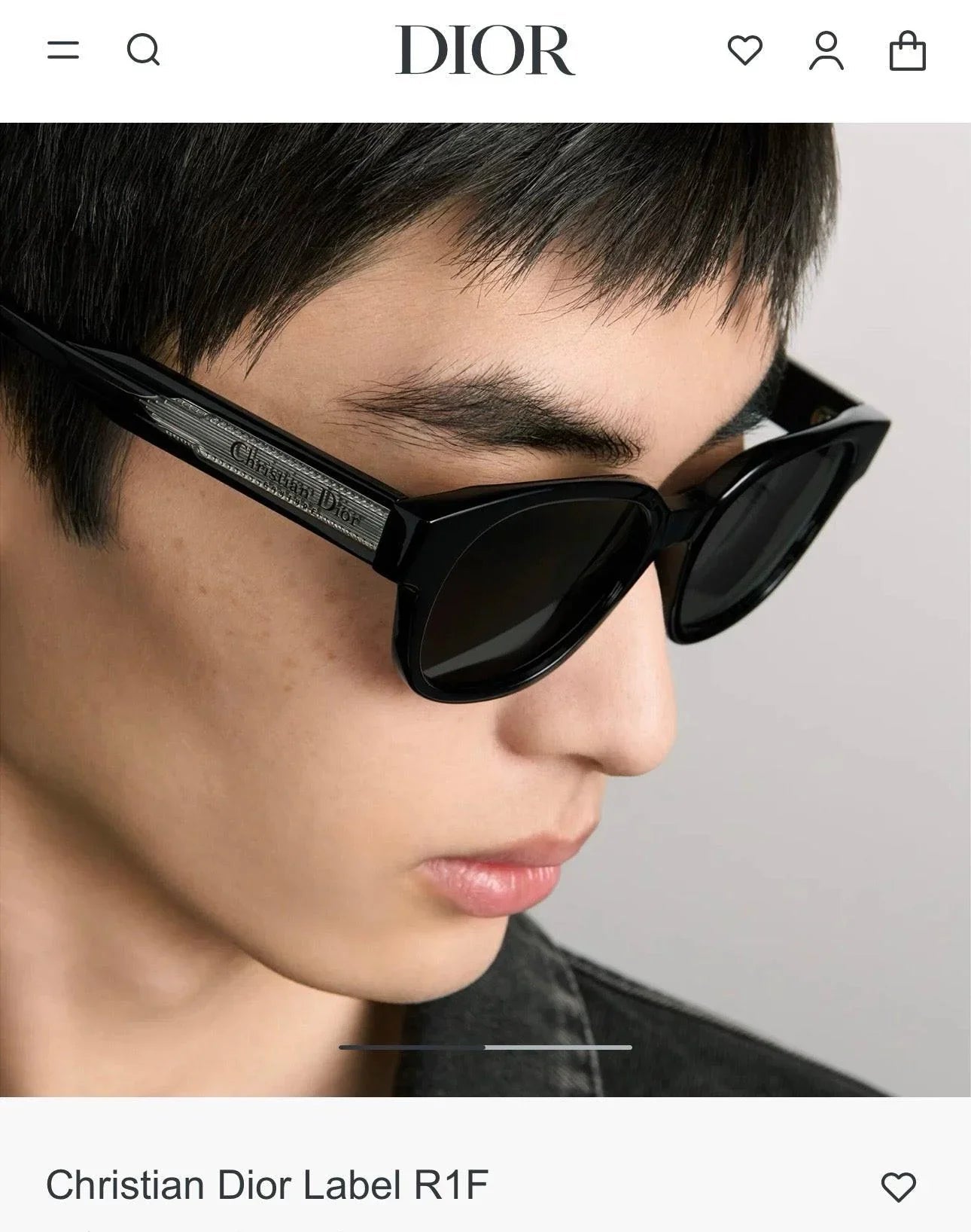 DIOR Christian Dior Label R1F Black and Beige Pantos Sunglasses ✨