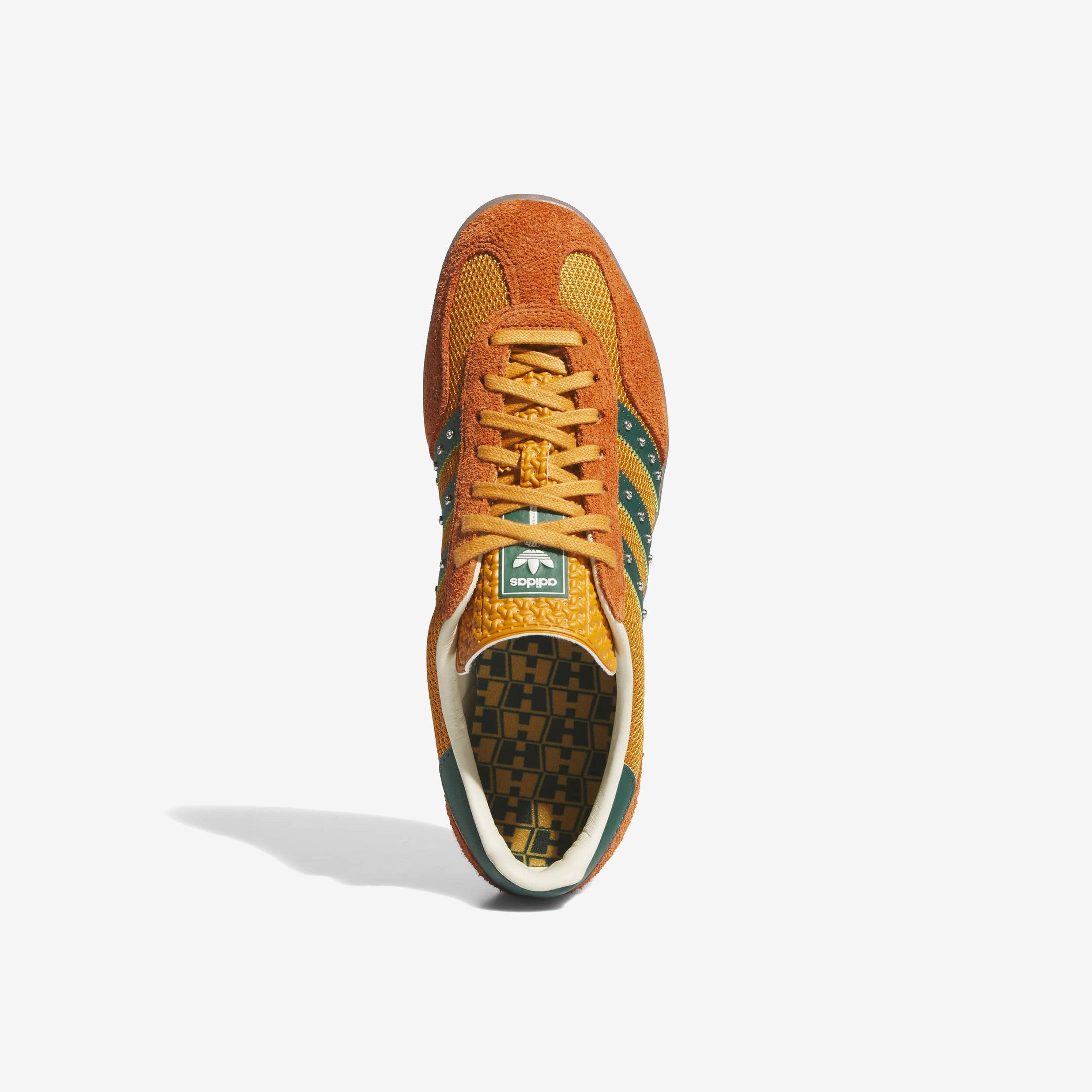 Gazelle Indoor x Hardies