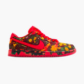 Nike Dunk SB Low The Wizard of Oz Poppy Field