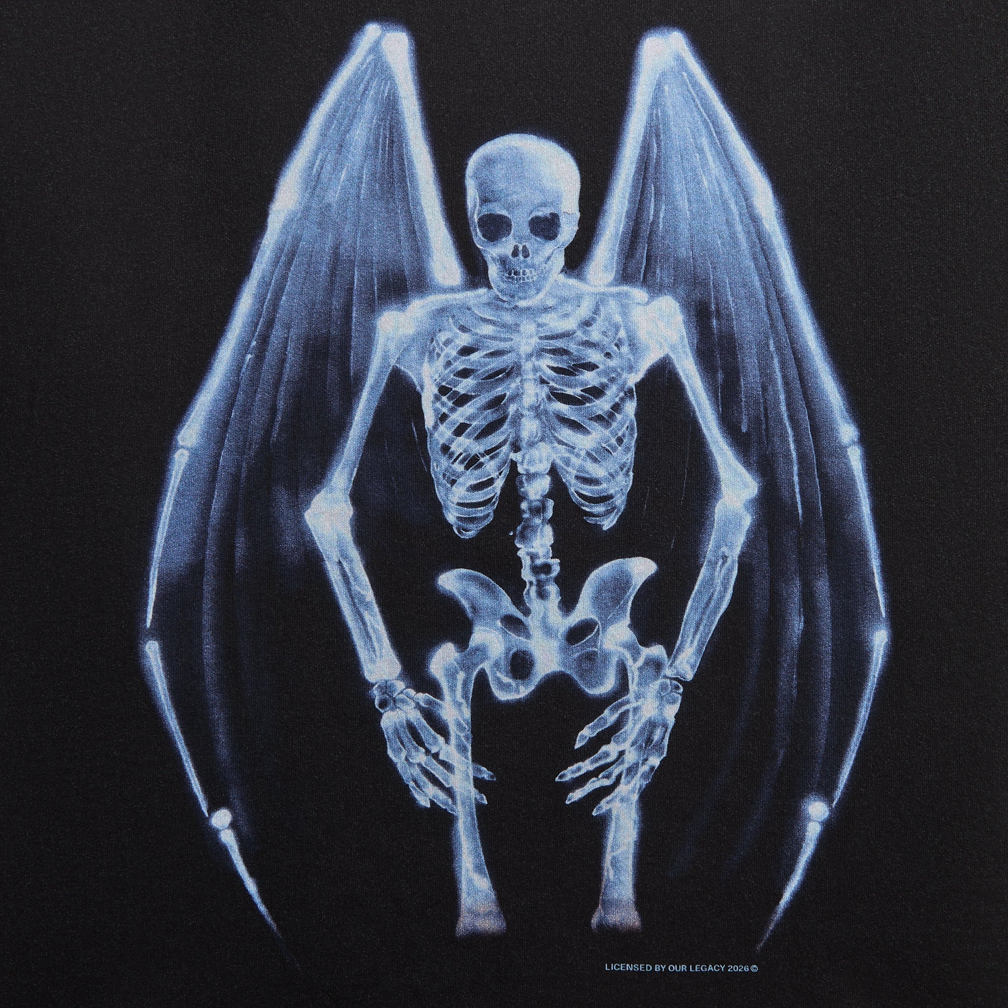 Our Legacy New Box Tee - Fallen Angel Print
