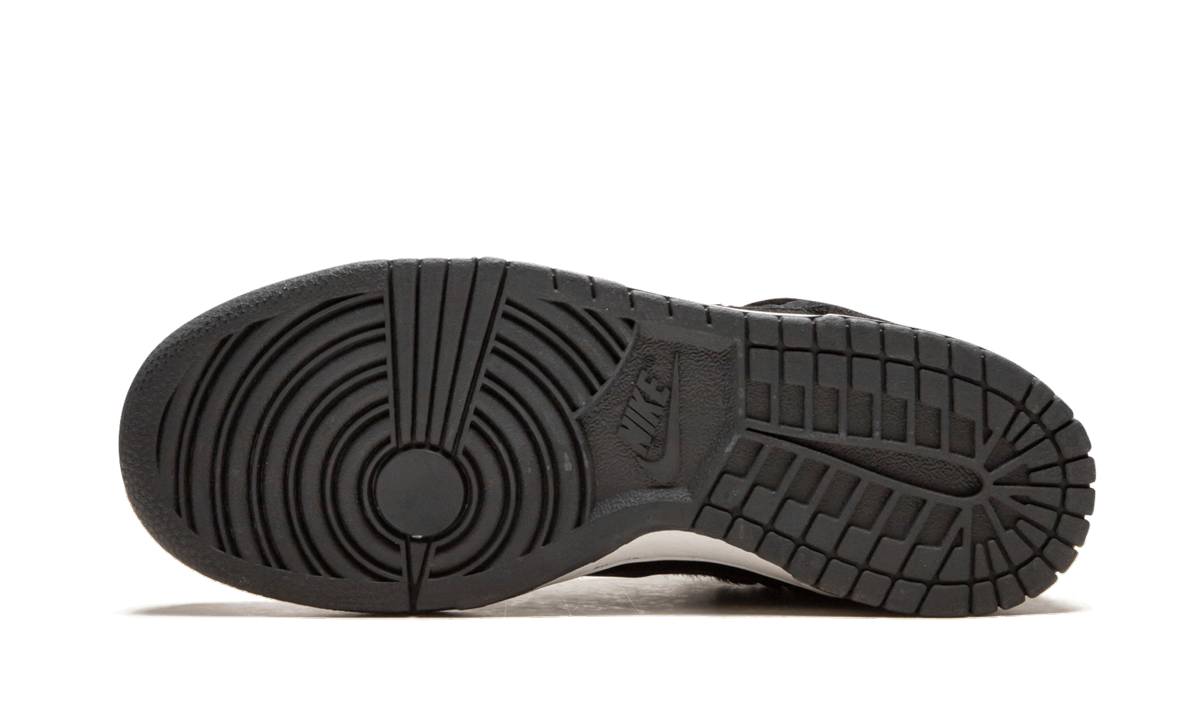 DUNK LO PREMIUM MNS WMNS "Horse Pack" 309730 002