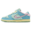 Verdy x Nike SB Dunk Low Visty