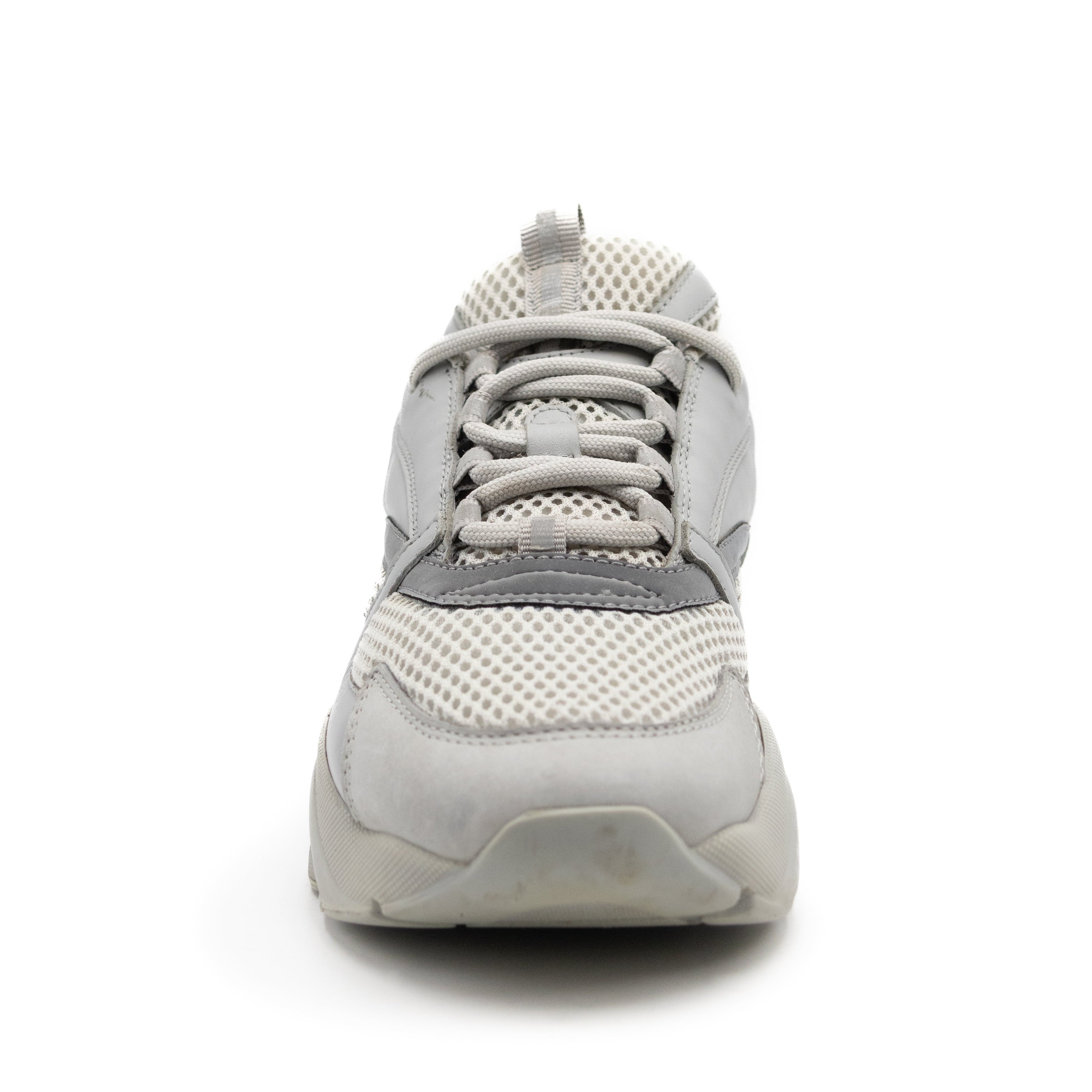 Dior B22 Grey White