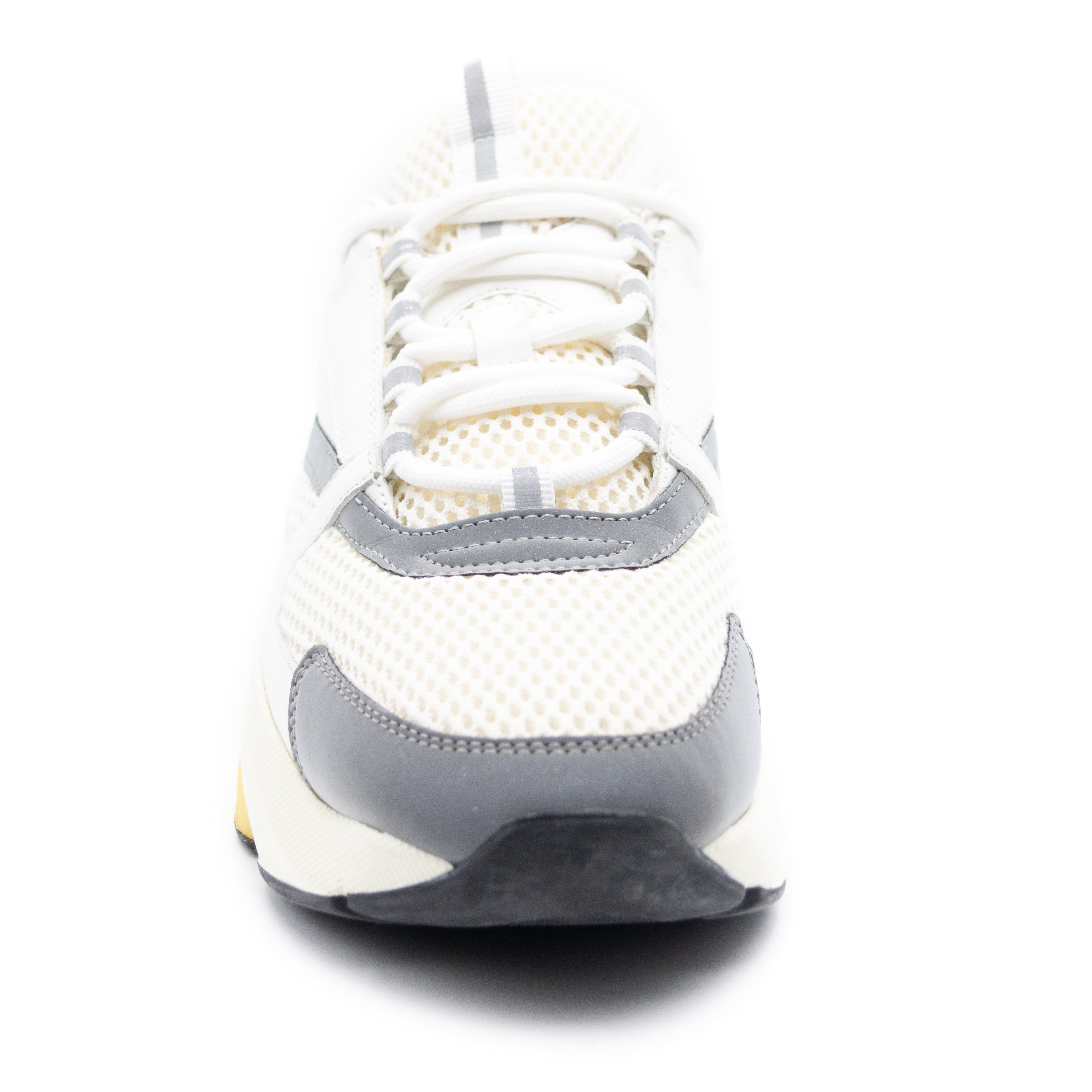 Dior B22 - White Grey