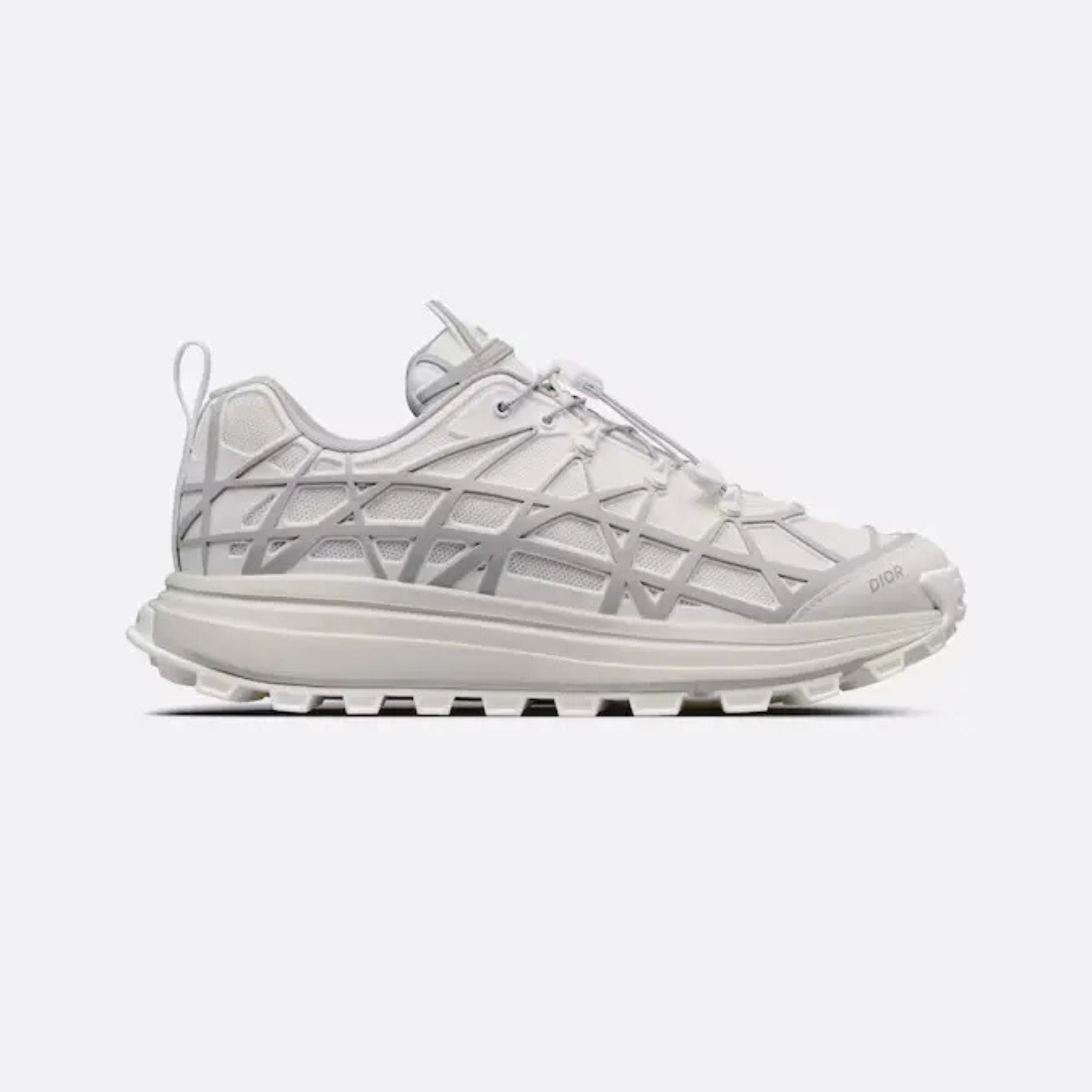 Dior B31 Runner Grey