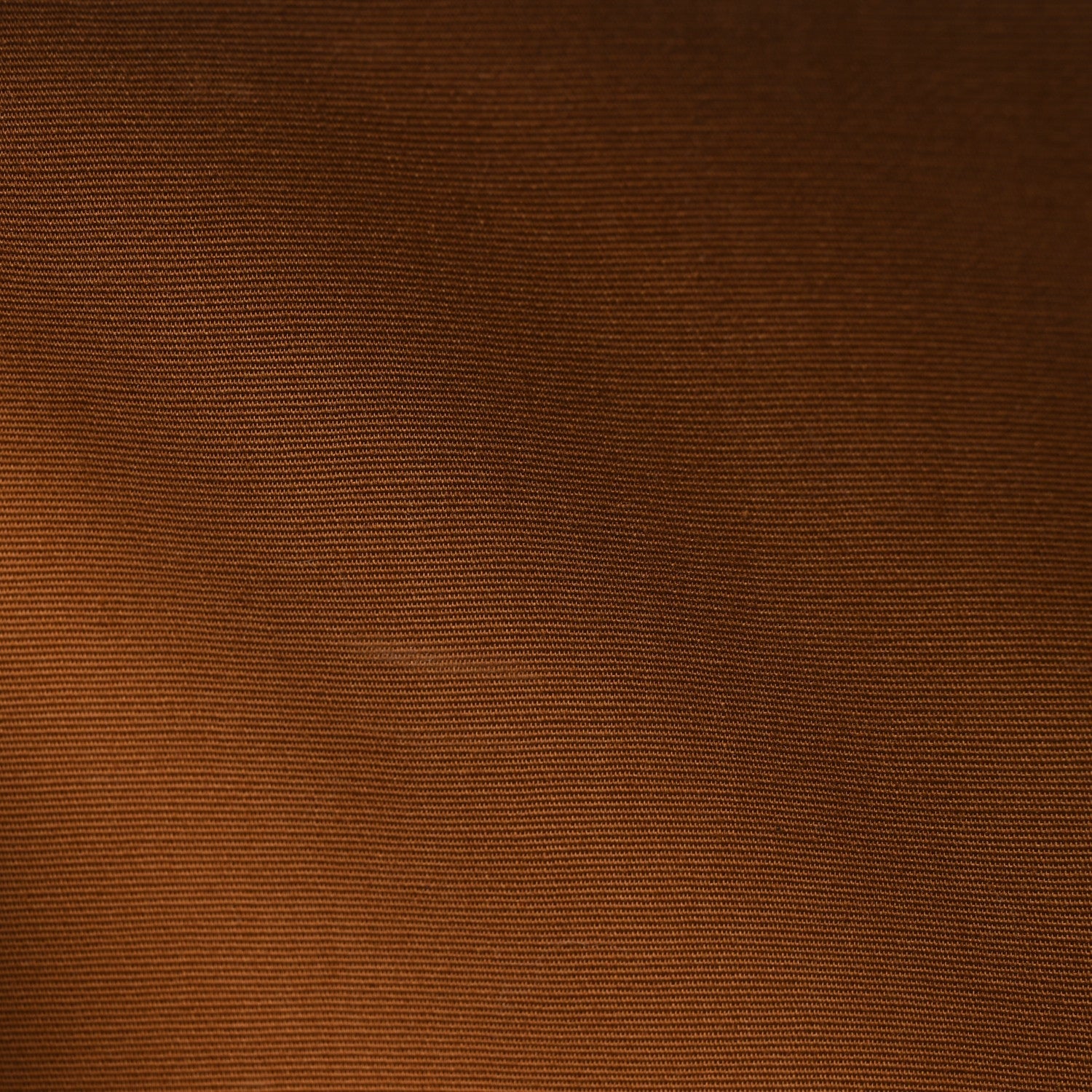 Triomphe Canvas Calfskin Travel Dog Bag Tan