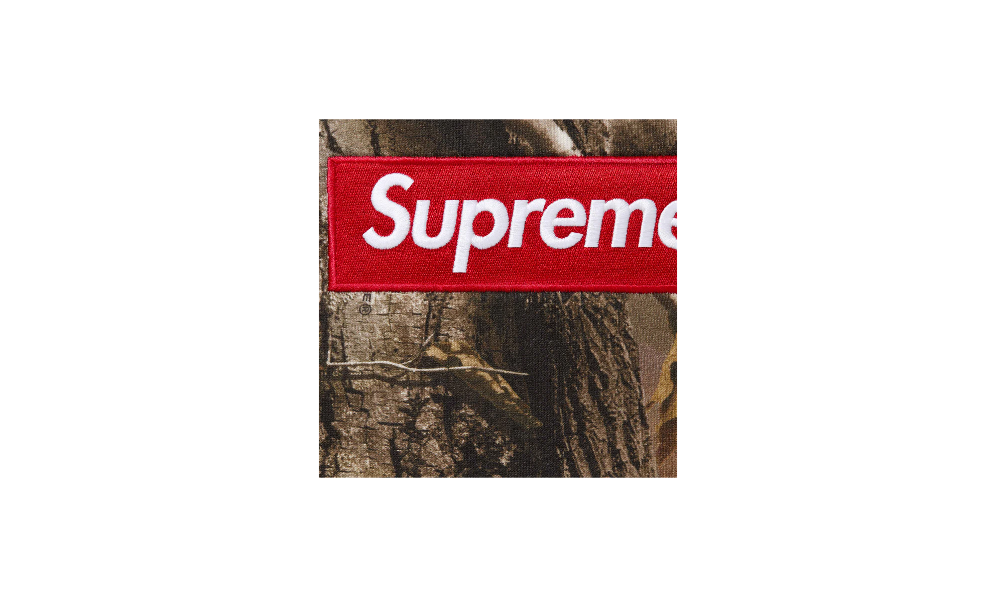 Box Logo Hooded Sweatshirt "FW25 - Realtree® AP Camo" SU26703