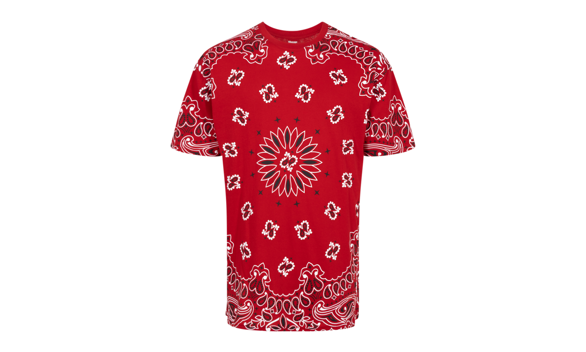 Hanes Bandana Tagless Tees (2 Pack) "FW22" SU12150