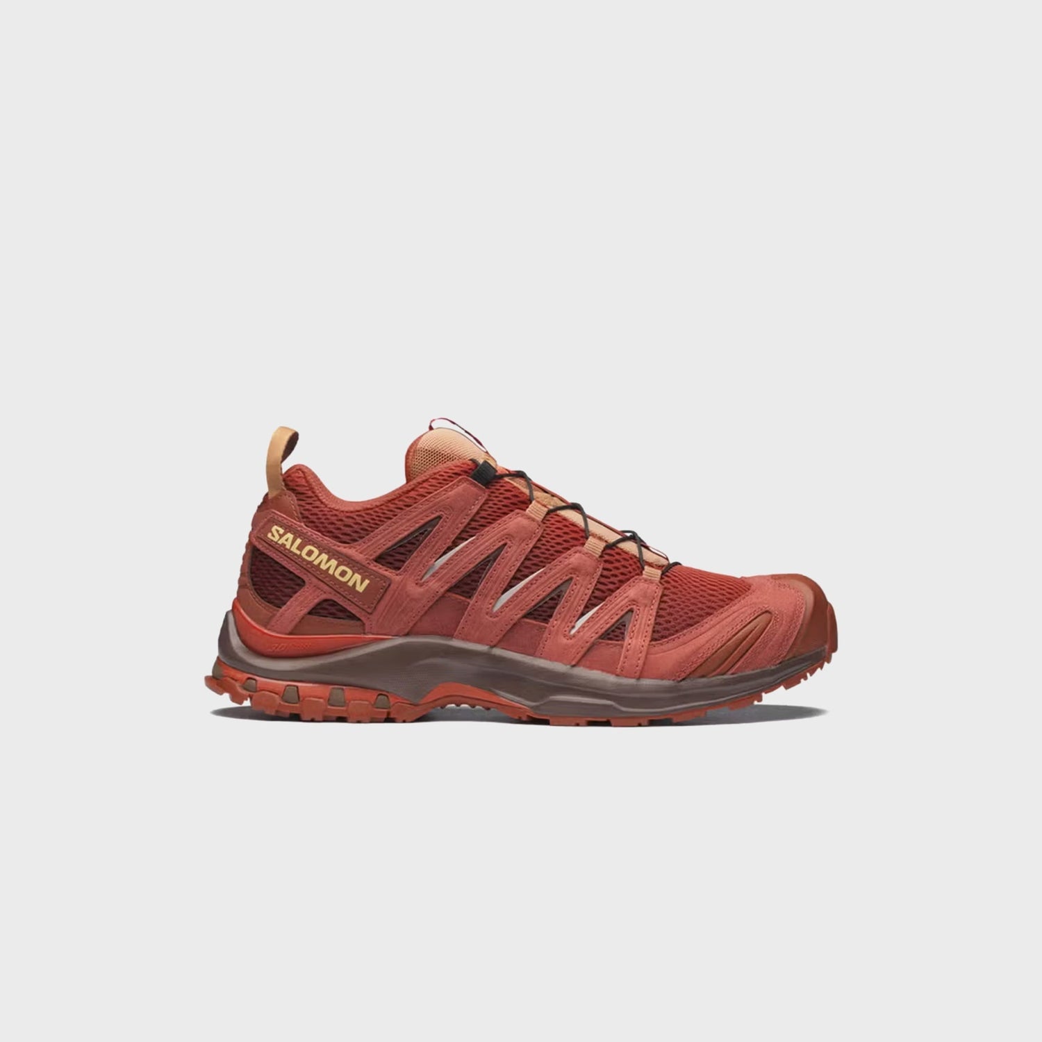 Salomon