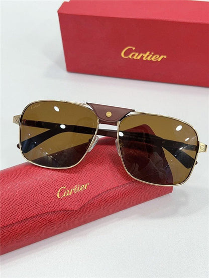 CARTIER SANTOS CT0389S Horn Men&