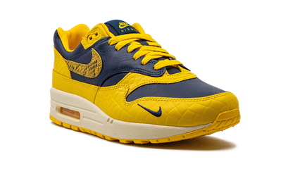 AIR MAX 1 PRM MNS WMNS "Co.jp Head to Head" FJ5479 410