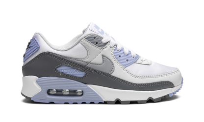 AIR MAX 90 WMNS "Cobalt Bliss" FB8570 100