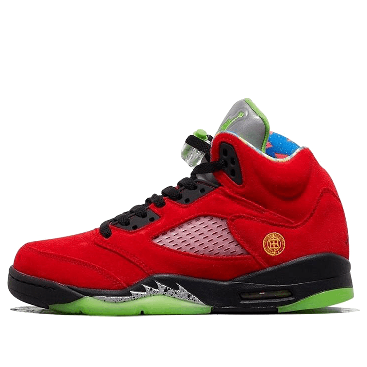 Jordan 5 Retro SE What The