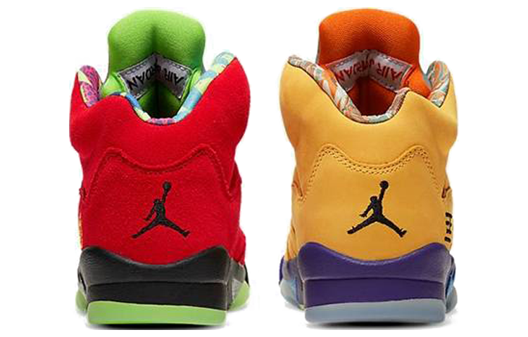 Jordan 5 Retro SE What The