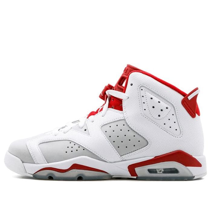 Jordan 6 Retro BG Alternate