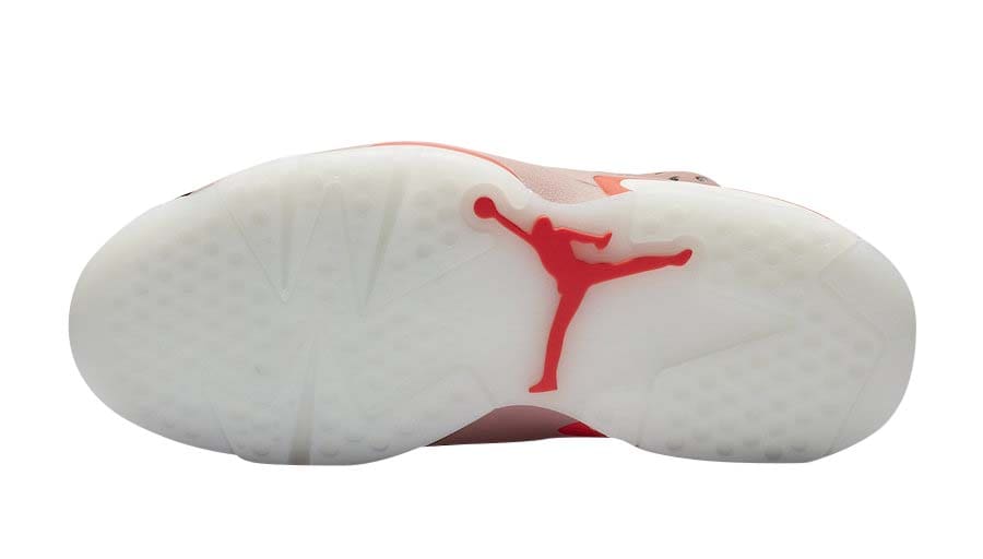Aleali May x Air Jordan 6 WMNS Millennial Pink