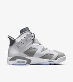 Jordan 6 Retro Cool Grey