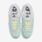 Verdy x Nike SB Dunk Low Visty