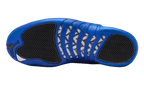 Jordan 12 Blueberry