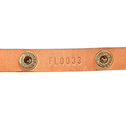 Monogram Pochette Florentine XS