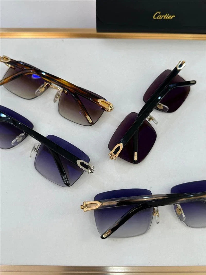 CARTIER Lens Buffalo Horn 60MM-140MM Men&