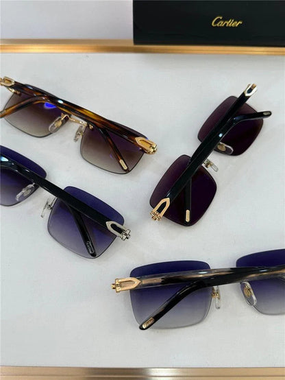 CARTIER Lens Buffalo Horn 60MM-140MM Men&