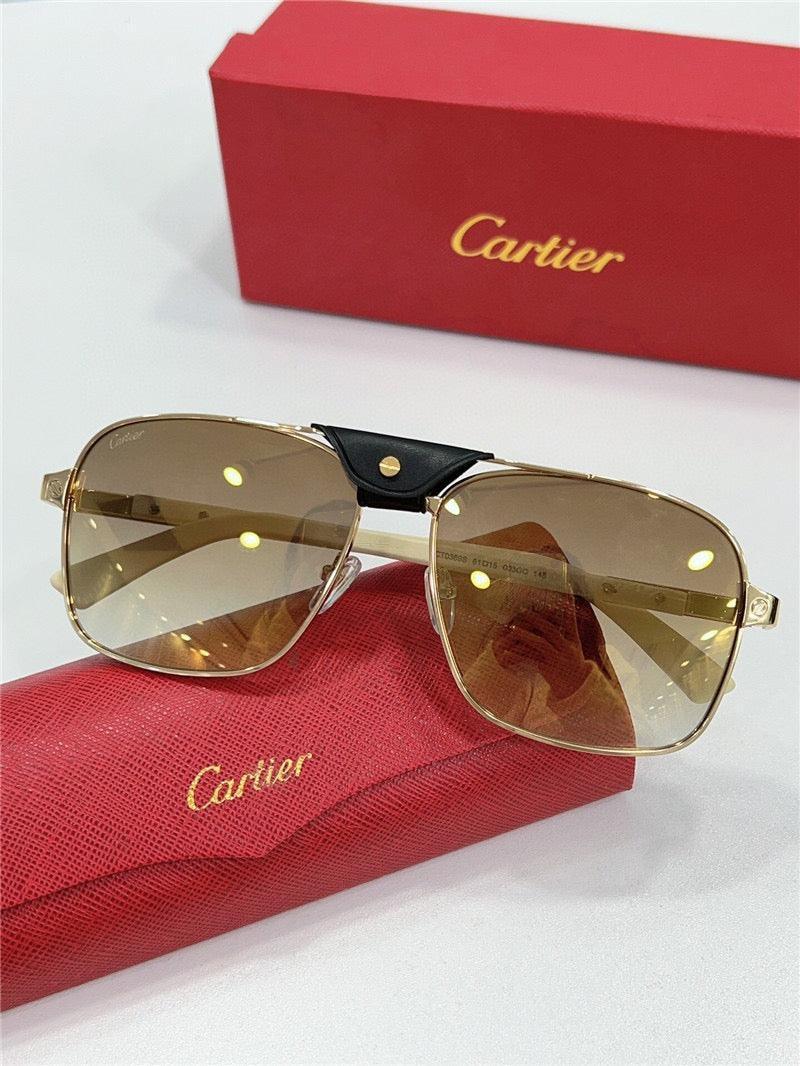 CARTIER SANTOS CT0389S Horn Men&