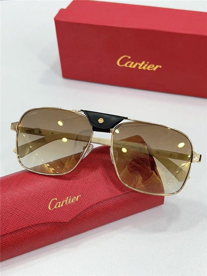 CARTIER SANTOS CT0389S Horn Men&
