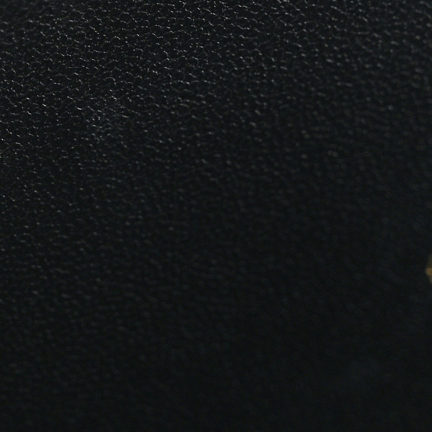 Supple Calfskin Cannage Caro Belt Pouch with Chain Black